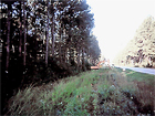 Bluffton, SC Land Clearing & Development Project