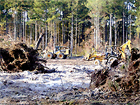 Bluffton, SC Land Clearing & Development Project